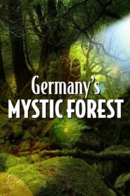 Germany’s Mystic Forest 2020 one on netflix