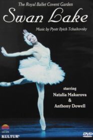 Swan Lake 1982 one on netflix