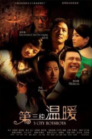 3 City Hotshots 2006 one on netflix