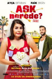 Aşk Nerede? 2015 one on netflix