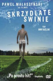 Flying Pigs 2010 one on netflix