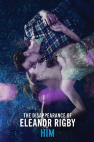 The Disappearance of Eleanor Rigby: Him 2014 one on netflix