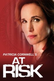 At Risk 2010 one on netflix