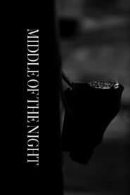 Middle of the Night 2015 one on netflix