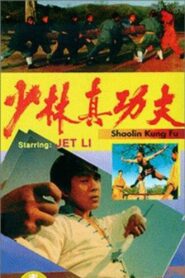 Li Lian Jie’s Shaolin Kung Fu 1994 one on netflix