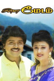 Chinna Madam 1994 one on netflix
