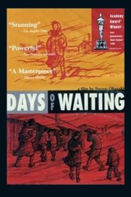 Days of Waiting: The Life & Art of Estelle Ishigo 1991 one on netflix