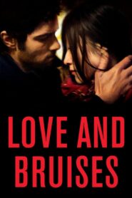 Love and Bruises 2011 one on netflix