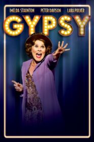 Gypsy 2015 one on netflix