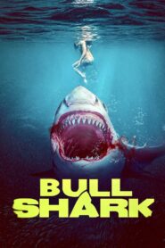 Bull Shark 2022 one on netflix
