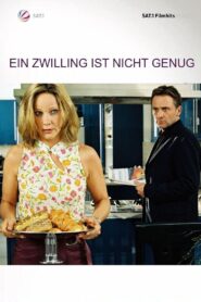 Ein Zwilling ist nicht genug 2004 one on netflix