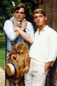 Revisiting Brideshead 2005 one on netflix
