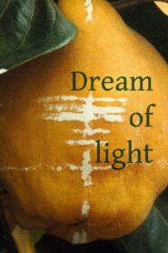 Dream of Light 1992 one on netflix