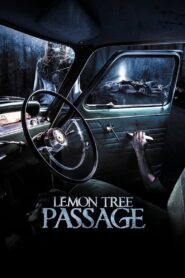 Lemon Tree Passage 2014 one on netflix