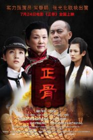 Chinese Look 2013 one on netflix
