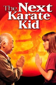 The Next Karate Kid 1994 one on netflix