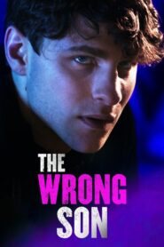 The Wrong Son 2018 one on netflix