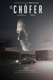 The Driver 2023 one on netflix
