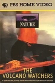 The Volcano Watchers 1987 one on netflix