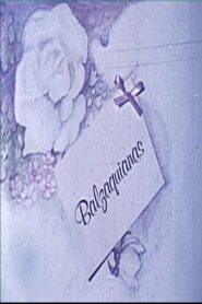 Balzaquianas 1981 one on netflix