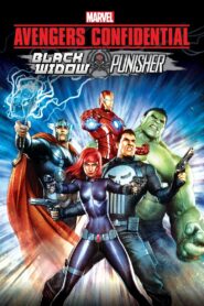 Avengers Confidential: Black Widow & Punisher 2014 one on netflix