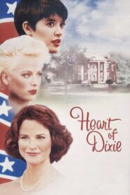 Heart of Dixie 1989 one on netflix