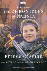 The Chronicles of Narnia: Prince Caspian & The Voyage of the Dawn Treader 1989 one on netflix