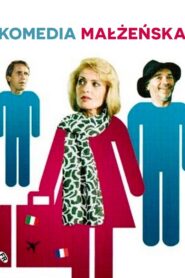 Comedy of Marriage 1994 one on netflix
