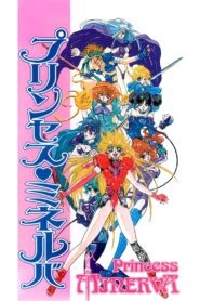 Princess Minerva 1995 one on netflix