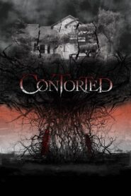 Contorted 2022 one on netflix