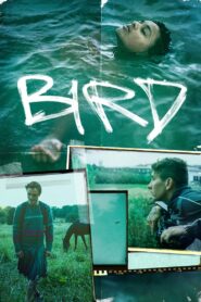 Bird 2024 one on netflix
