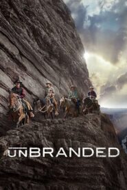 Unbranded 2015 one on netflix