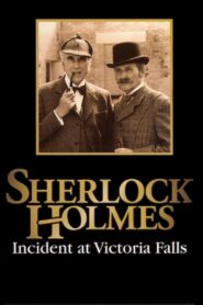 Sherlock Holmes: Incident at Victoria Falls 1992 one on netflix