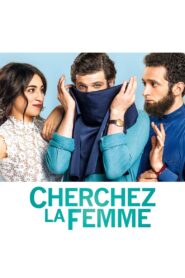 Some Like It Veiled 2017 one on netflix