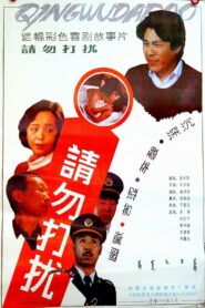 请勿打扰 1992 one on netflix