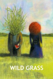 Wild Grass 2009 one on netflix