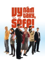 Vy nám taky, šéfe! 2008 one on netflix