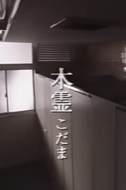 Kodama 1998 one on netflix