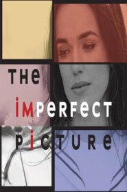 The Imperfect Picture 2021 one on netflix