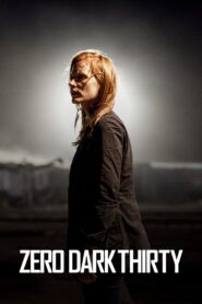 Zero Dark Thirty 2012 one on netflix