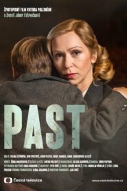 Past 2020 one on netflix