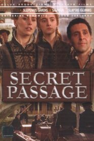Secret Passage 2004 one on netflix