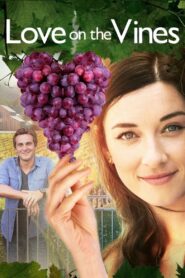 Love on the Vines 2017 one on netflix