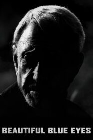 Iron Cross 2009 one on netflix