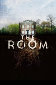 The Room 2019 one on netflix