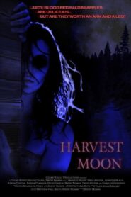 Harvest Moon 2007 one on netflix