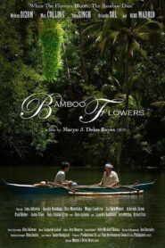 Bamboo Flowers 2013 one on netflix