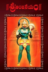 Sri Anjaneyam 2004 one on netflix