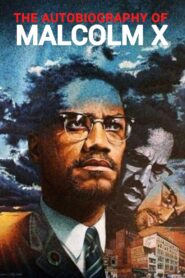 The Autobiography of Malcolm X 2001 one on netflix