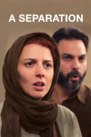A Separation 2011 one on netflix